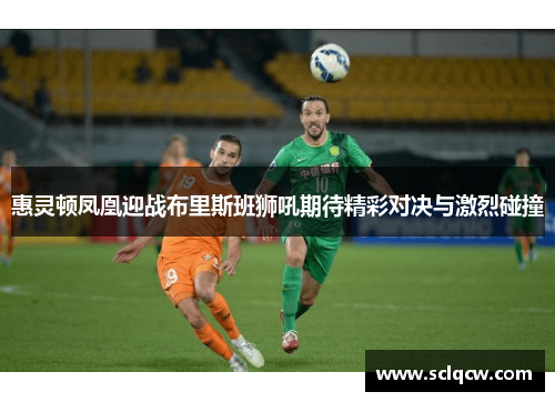 惠灵顿凤凰迎战布里斯班狮吼期待精彩对决与激烈碰撞