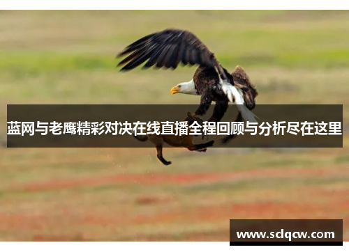 蓝网与老鹰精彩对决在线直播全程回顾与分析尽在这里
